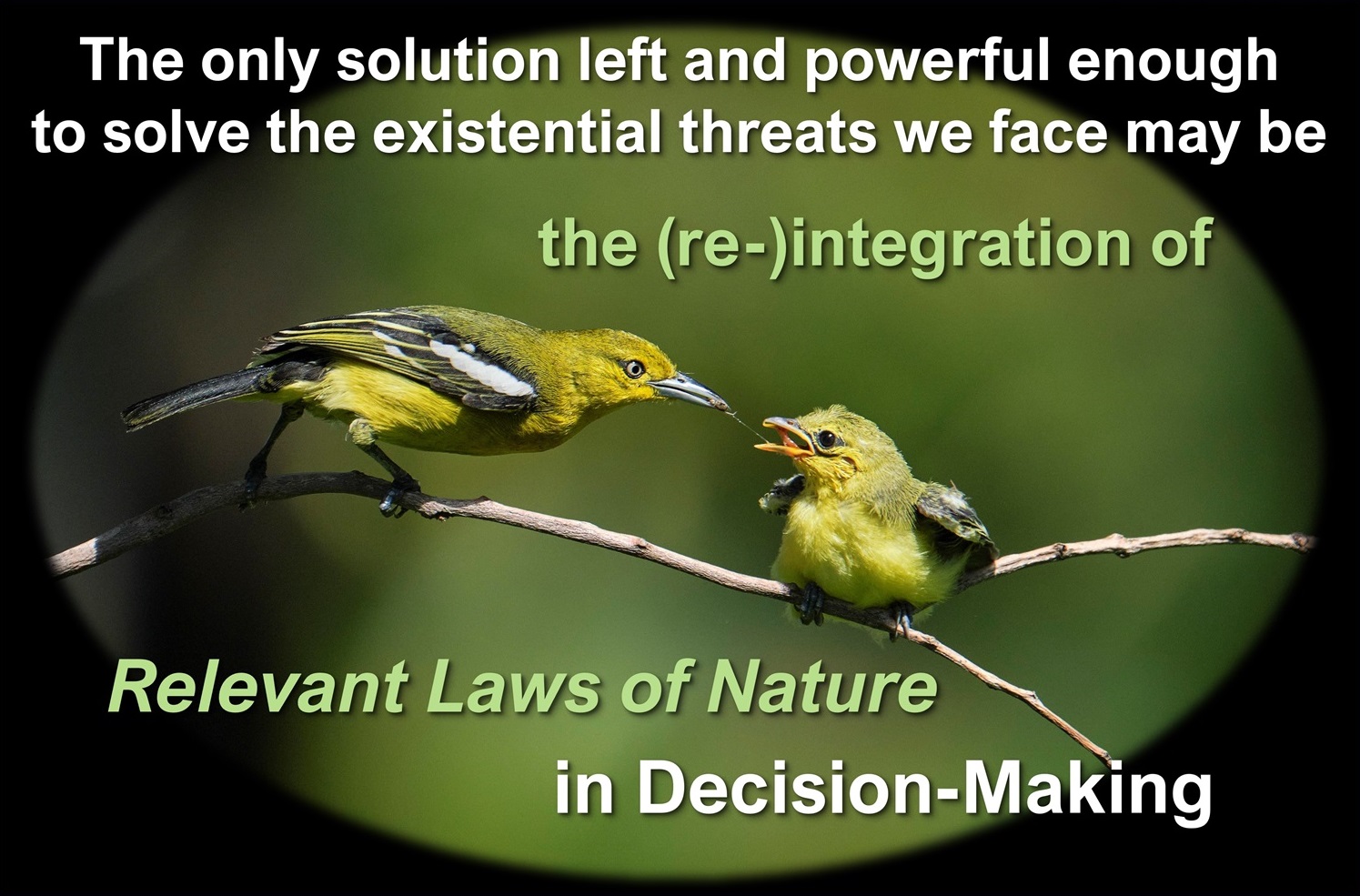 The only solution left may be ...