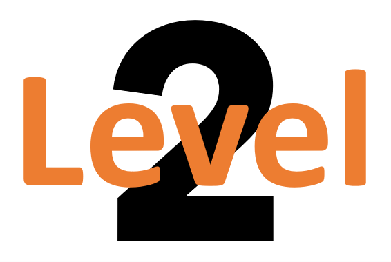 Level 2