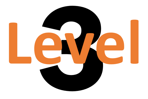 Level 3