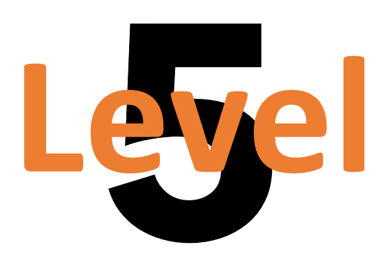 Level 5